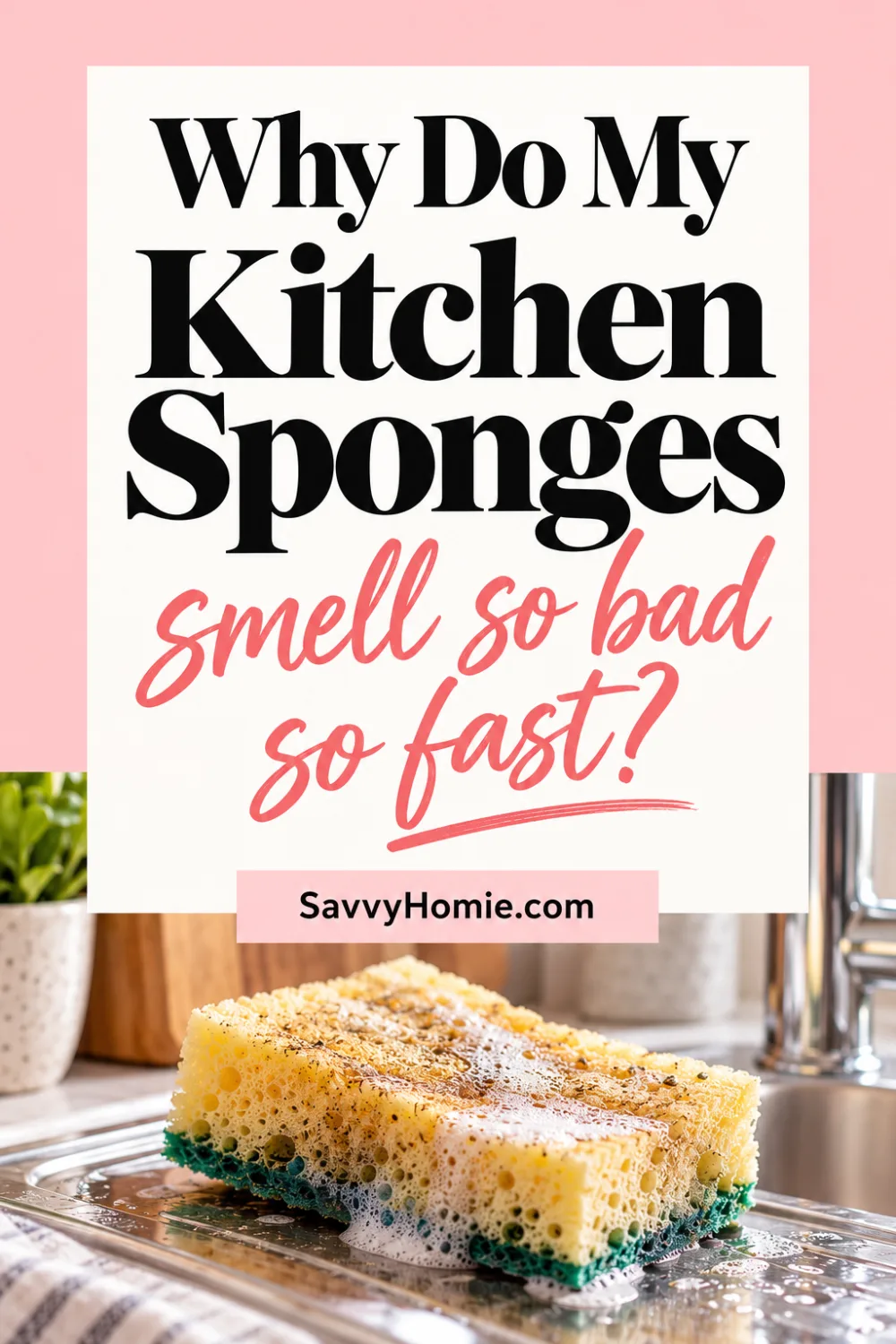 Why Do My Kitchen Sponges Smell So Bad So Fast?, pin this list