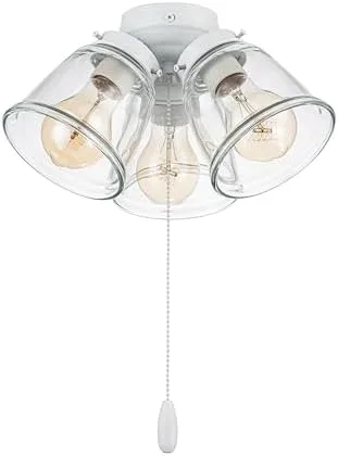Globe Ceiling Fan Light Kit