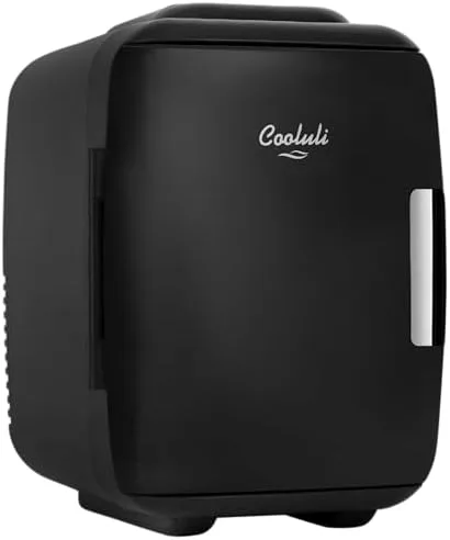 Mini Electric Cooler Fridge