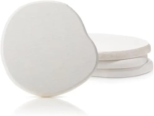 Diatomaceous Earth Coaster Set, 4-Piece